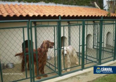 Projeto de Lei deve regulamentar criação, compra e venda, permuta e adoção de cães e gatos em Guaxupé